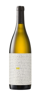 LLAVORS * 2023 blanc